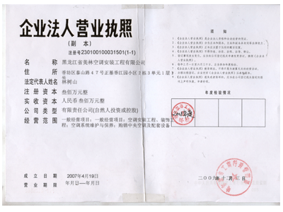 企业营业执照 企业营业执照